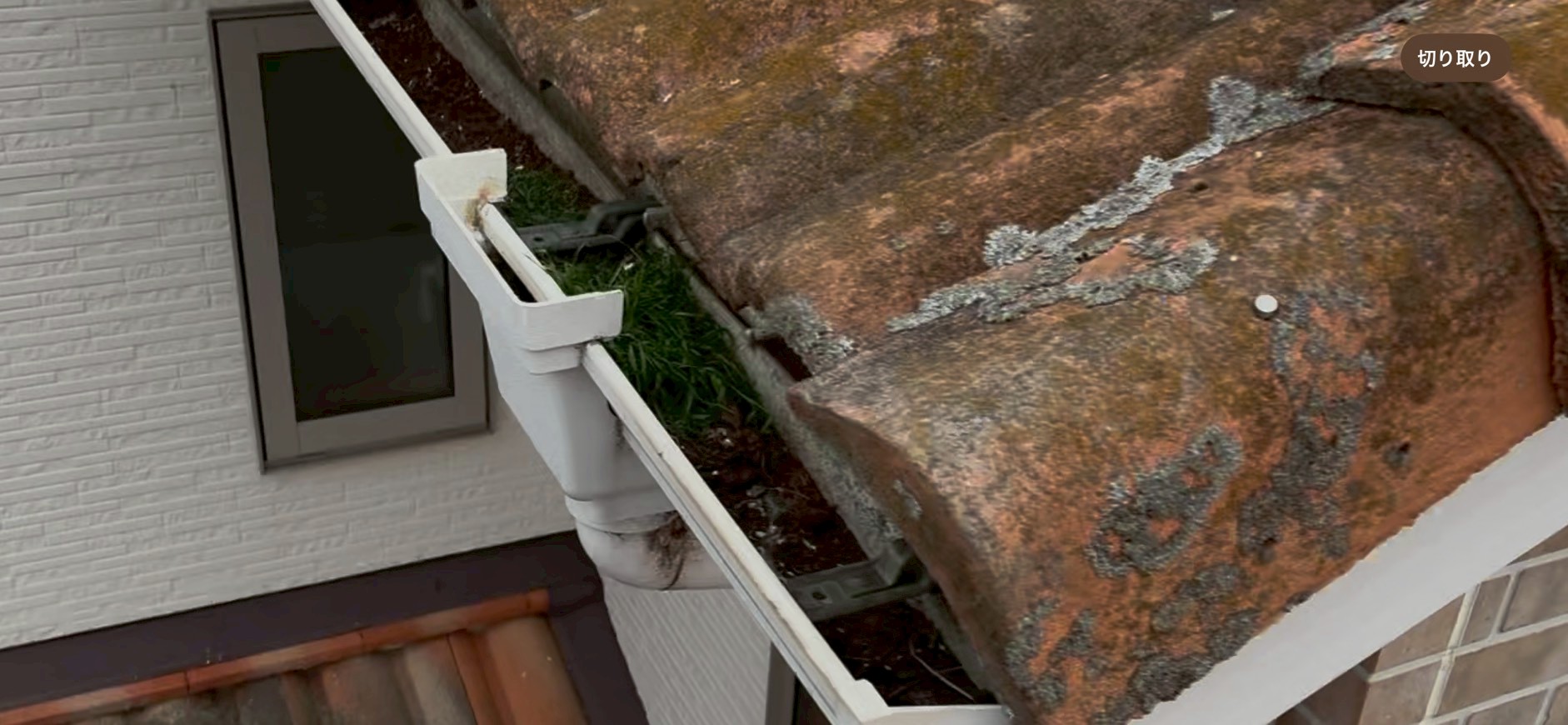 軒といの状況を確認中